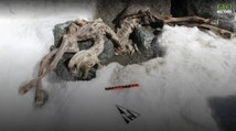 Histoire : un chamois enfoui sous la glace depuis 400 ans découvert en Italie