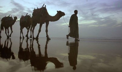 Maghreb : quels sont les pays accessibles aux Français ?