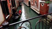 Venise : les gondoliers limitent les capacités de leurs embarcations et pointent du doigt le “surpoids” des touristes