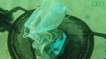 Environnement : des masques chirurgicaux usagés et des gants en plastique retrouvés au large d'Antibes