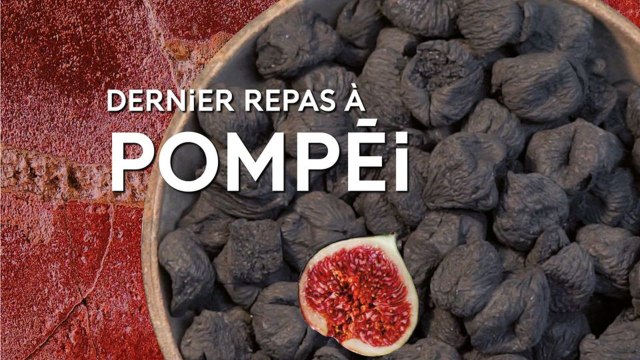 Dernier repas à Pompéi, la nouvelle exposition du Musée de l'Homme