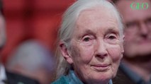 Jane Goodall s'exprime sur le coronavirus : 