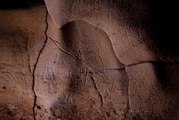 Des gravures rupestres vieilles de 15 000 ans découvertes en Catalogne