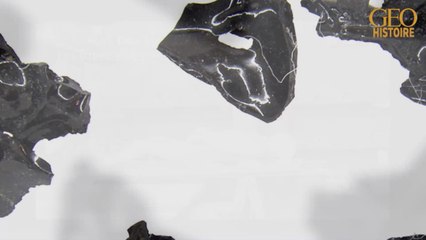 A Herculanum, l'éruption du Vésuve aurait vitrifié le cerveau d'un habitant