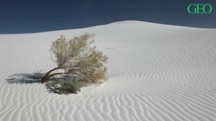Découvrez White Sands, le nouveau parc national américain