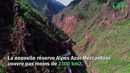 Une nouvelle réserve internationale de ciel étoilé dans le sud de la France