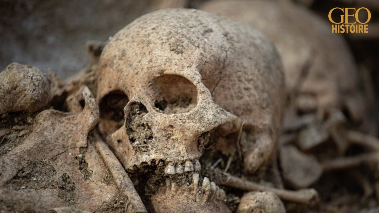 Dans la Marne, une cinquantaine de squelettes de la période néolithique découverts sur un futur terrain de supermarché