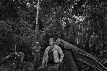 Amazonie brésilienne : qui sont les "gardiens de la forêt" ? Le témoignage du photographe Tommaso Protti