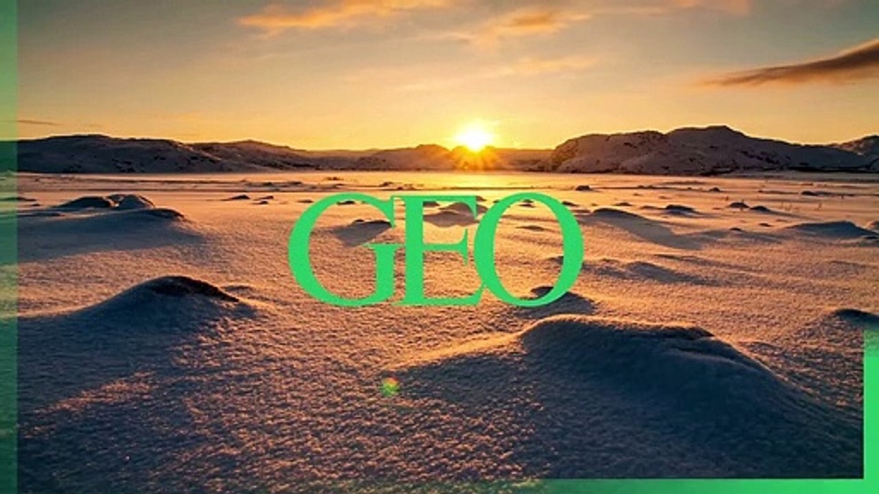 Un virus mortel pour les mammifères marins se répand dans le Pacifique