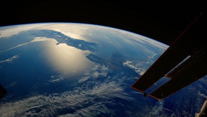 Une planète sans pareil : la survie (épisode 5)