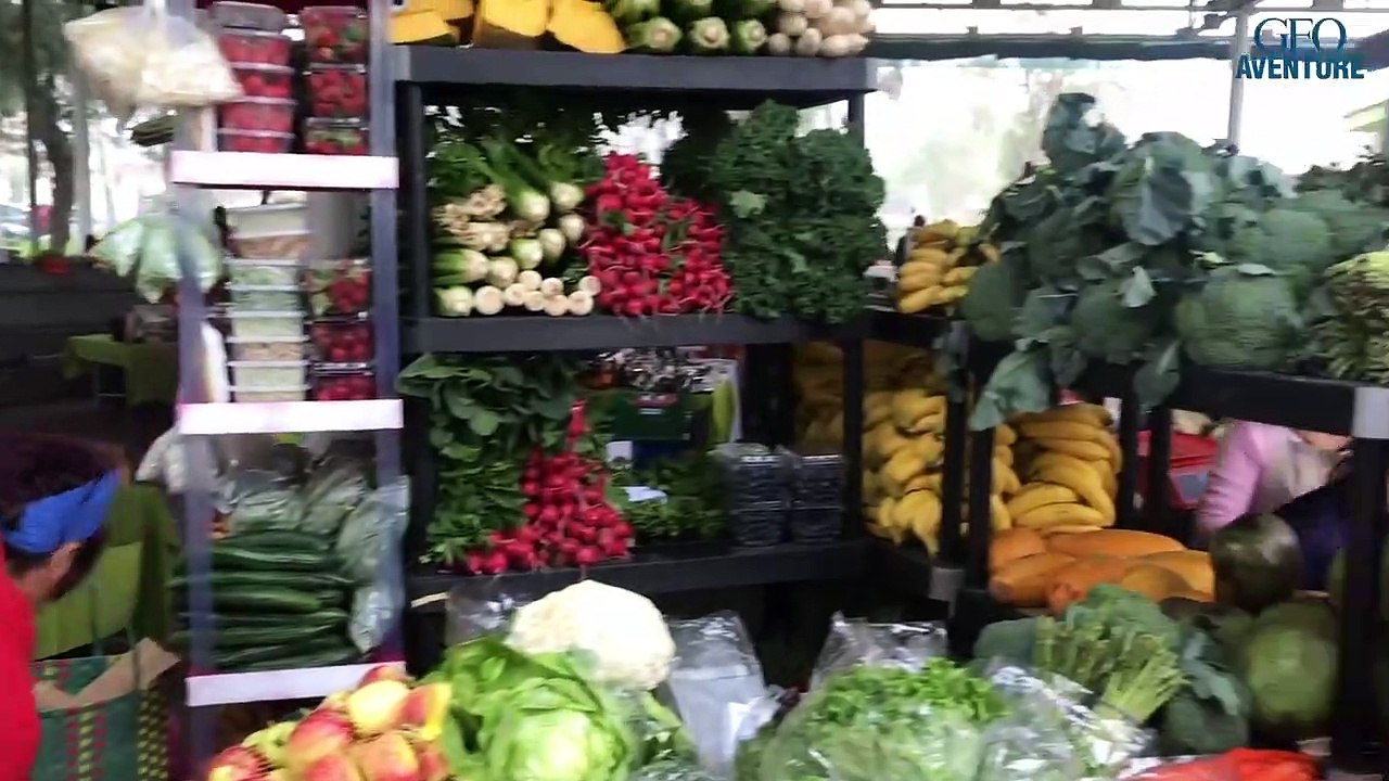 Un tour du monde pour sauver la planète... La suite des aventures de Moana et Hiroana