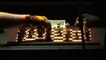 Le chessboxing, une discipline entre pions et gnons