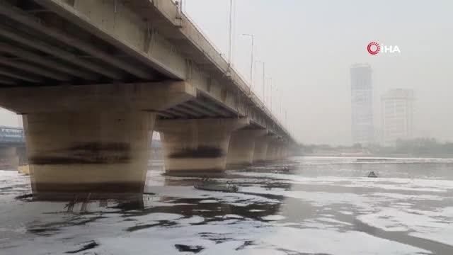 Hindistan'da Yamuna Nehri zehirli köpükle kaplandı