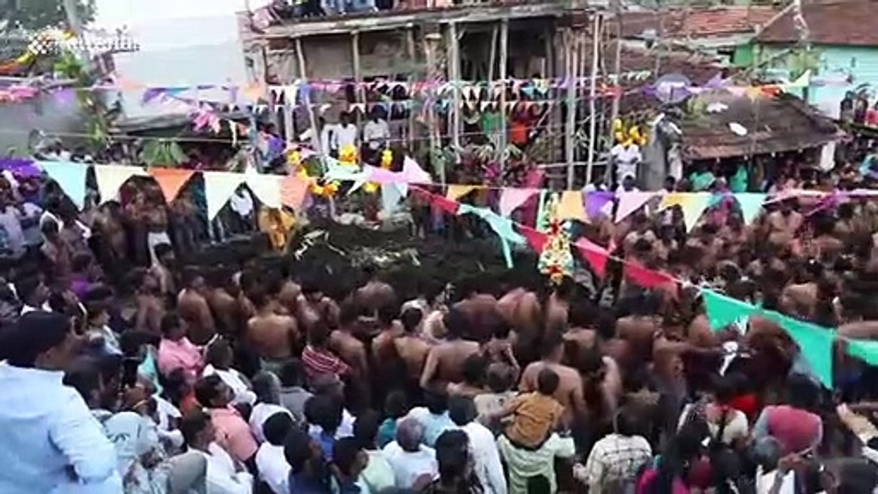 Festival de la bouse... une fête plutôt odorante