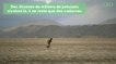 Bolivie : le lac Poopó, l’un des plus grands du pays, est sur le point de disparaître