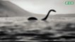 D'après une équipe de chercheurs, le monstre du Loch Ness pourrait être une anguille géante