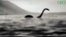 D'après une équipe de chercheurs, le monstre du Loch Ness pourrait être une anguille géante