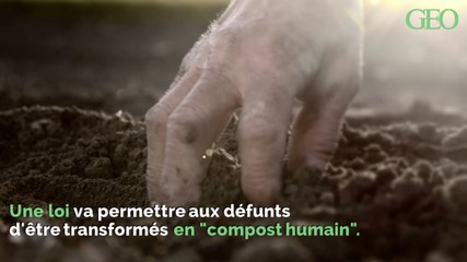 Enterrement alternatif : le "compost humain" légalisé dans un Etat américain