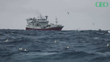 Jour du dépassement : l'Union européenne est en déficit écologique depuis le 10 mai