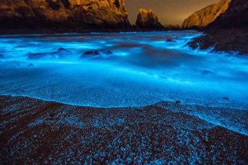 En mer de Chine, découvrez le phénomène étrange des "blue tears"