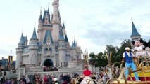 Disney  Subscribers Get Special Theme Park Access This Friday