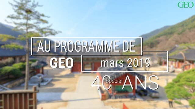 Découvrez le sommaire du GEO de mars 2019 spécial 40 ans