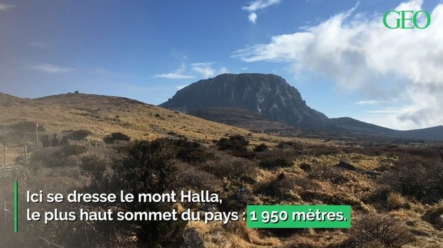Volcans, légendes, femmes-sirènes... Envolez-vous pour Jeju, mystérieuse île sud-coréenne