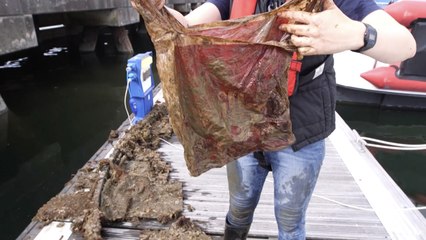 Enfouis sous terre pendant trois ans, ces sacs en plastique "biodégradables" sont réapparus intacts