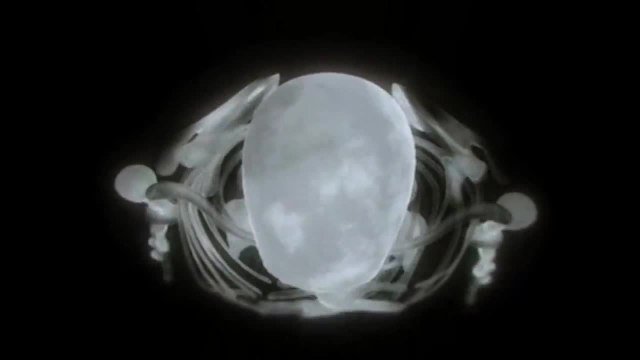 L'incroyable enquête archéologique autour du squelette de Richard III