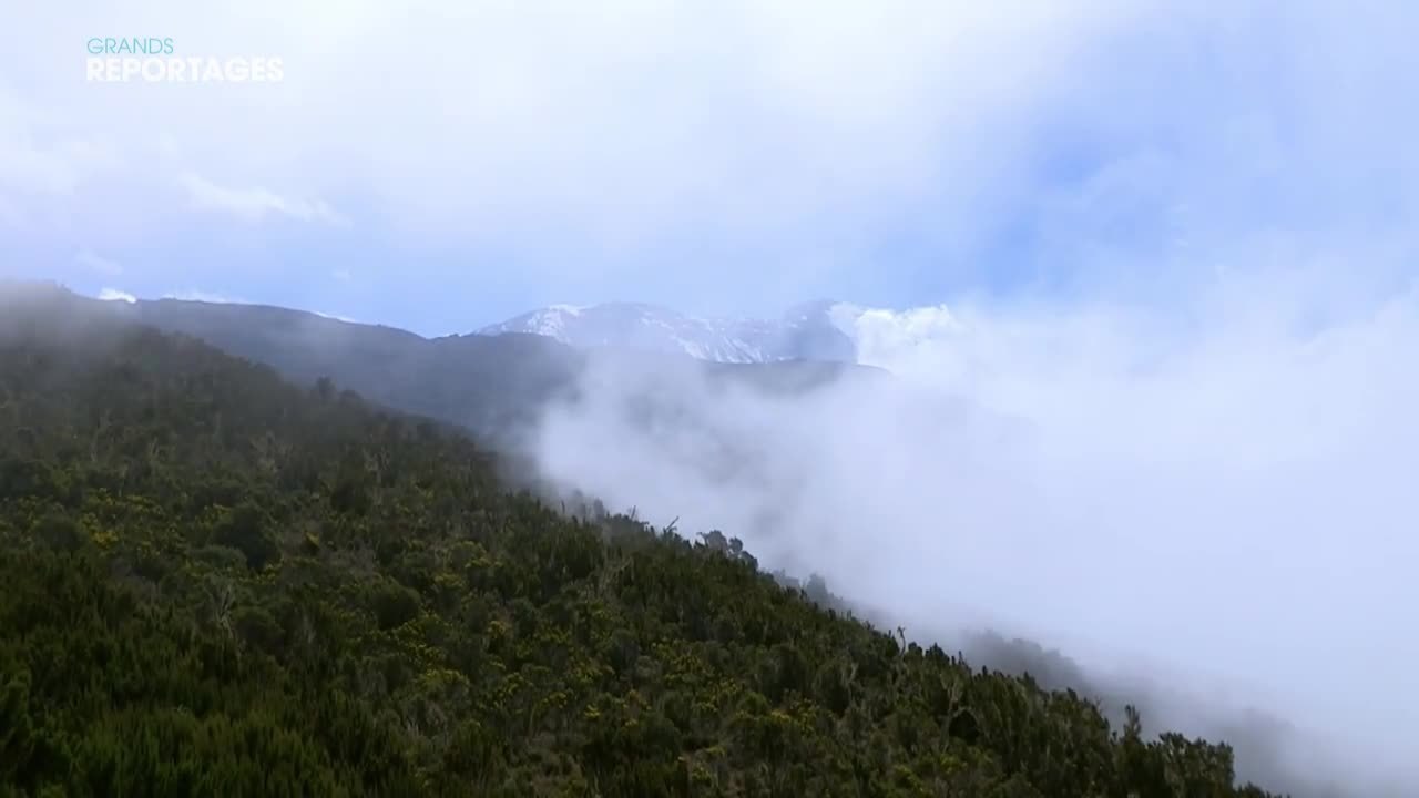 Tanzanie : partez en randonnée sur le Kilimandjaro