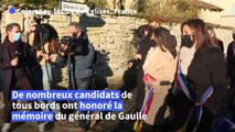A Colombey, des fidèles du général de Gaulle dénoncent une 