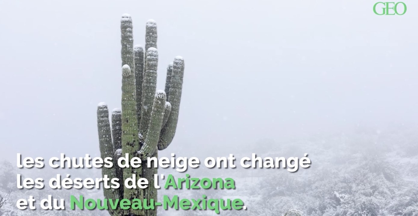 De rares chutes de neige transforment les paysages de l'Arizona