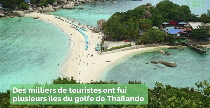 Thaïlande : avant l'arrivée de la tempête Pabuk, des milliers de touristes fuient des îles du golfe