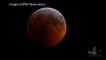 L'éclipse de lune dans la nuit du 20 au 21 janvier 2019 [GEO AFP]