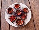 Cuisine antillaise : astuce pour présenter les oursins