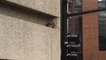 Aux Etats-Unis, un raton laveur escalade plus de 20 étages et s'en sort indemne [GEO AFP]