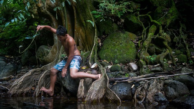 Marquises : à la pêche aux crevettes d'eau douce [GEO]