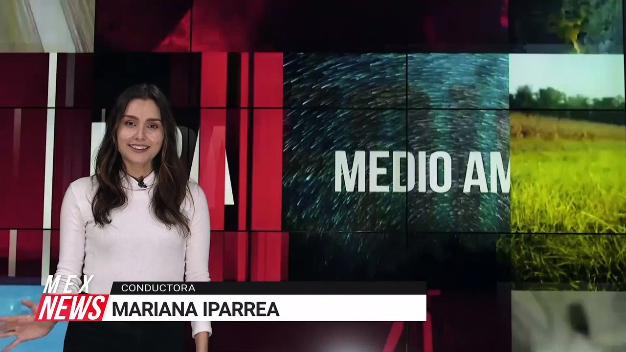 ¿CUÁLES HAN SIDO LOS VIAJES ESPACIALES MÁS RECIENTES?