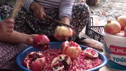 Antalya'da nar ekşisinin şifalı yolculuğu başladı