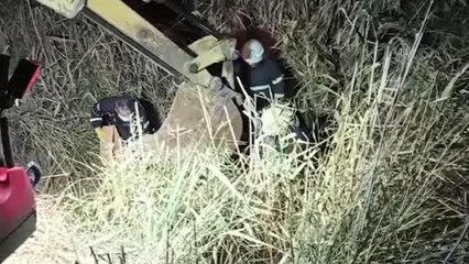 Son dakika haberleri! Çamura saplanmış halde bulunan atı itfaiye ekipleri kurtardı