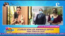 Zorro andino ‘Run Run’: conozca que animales son aptos para tener en casa como mascotas