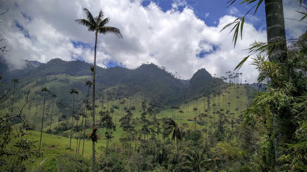 Cinq expériences à vivre en Colombie [GEO]