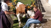 Les vaches les plus heureuses du monde [GEO]