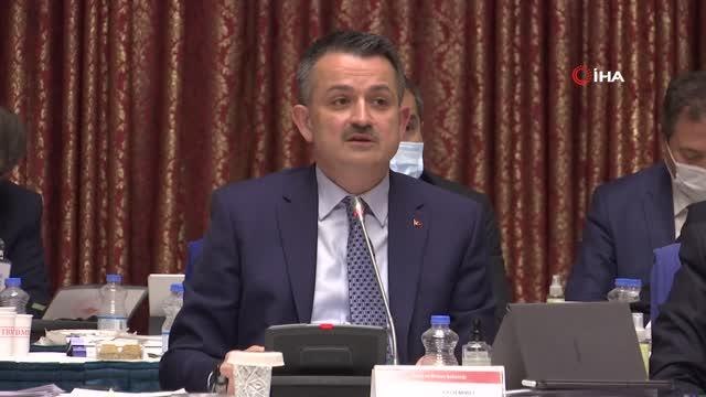 Tarım ve Orman Bakanı Bekir Pakdemirli: (orman yangınları) Bizim Türk Hava Kurumu'nun eski, uçmayan ve faal olmayan uçaklarını kiralama şansımız...