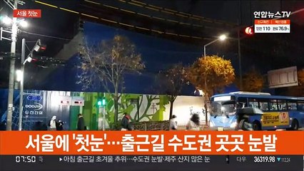 서울에 '첫눈'…출근길 수도권 곳곳 눈발