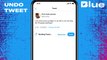 Twitter Blue Subscription Service Launches in US