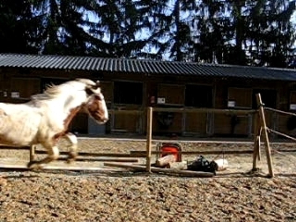 Quéno saute en liberté (2)