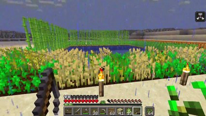 Minecraft: Biome unique: Plage [11] La peinture totalement logique