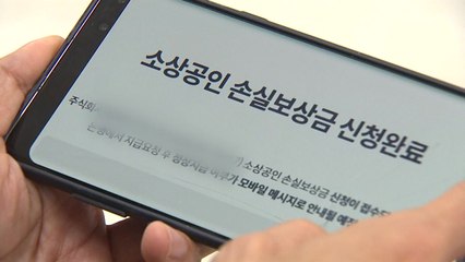 [취재N팩트] 법인사업자 손실보상 지급은 13일 동안 0건...말뿐인 '신속 보상' / YTN
