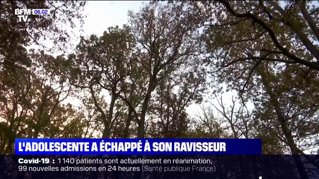 Ce que l'on sait de la joggeuse de 17 ans retrouvée vivante et en état de choc dans la Sarthe